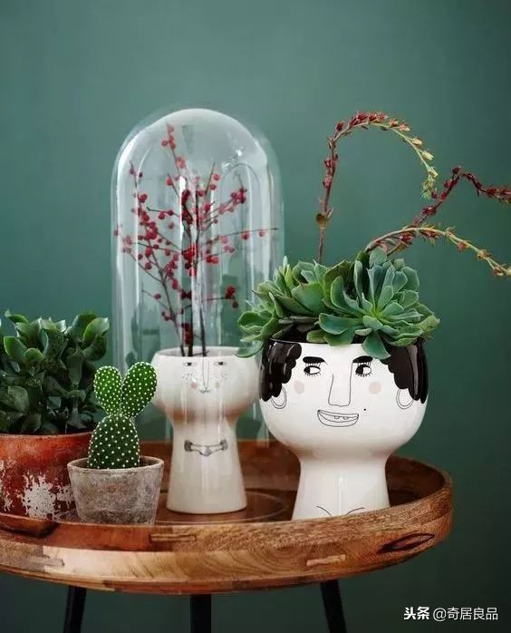 怎样弄一个简单的花园,如何在家打造一个花园