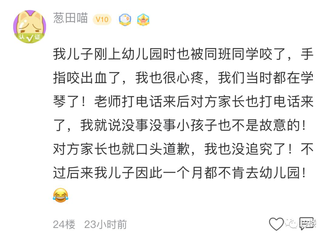 孩子在幼儿园咬伤别人该怎么道歉,孩子在幼儿园被咬家长能打回去吗