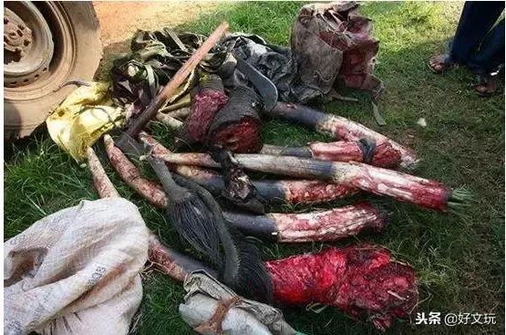 象牙暴利的特征有哪些呢,象牙工艺品骗局