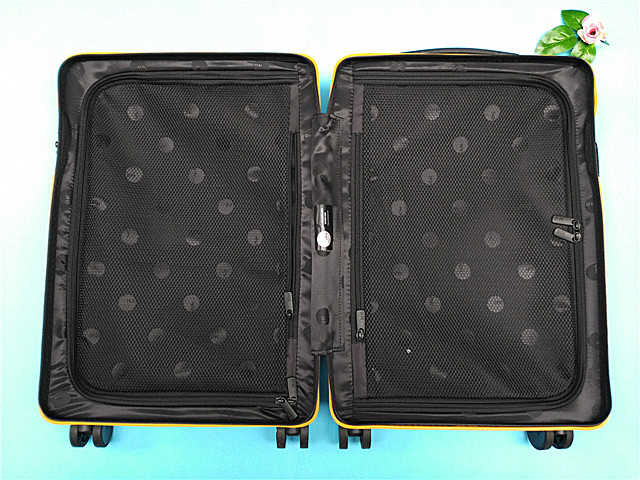 ITO青春有你小黄箱，人人都想尽赏春天的美景，人人都想快乐无限