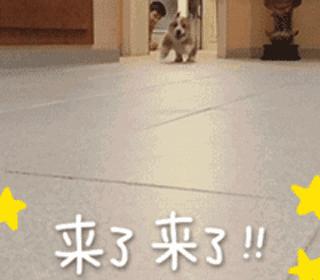 脚背高脚宽怎么选鞋,女生脚大怎么选鞋显脚小