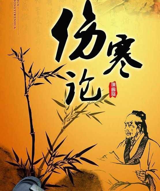 伤寒论一百一十三方临床使用经验,中医药方讲究君臣佐使