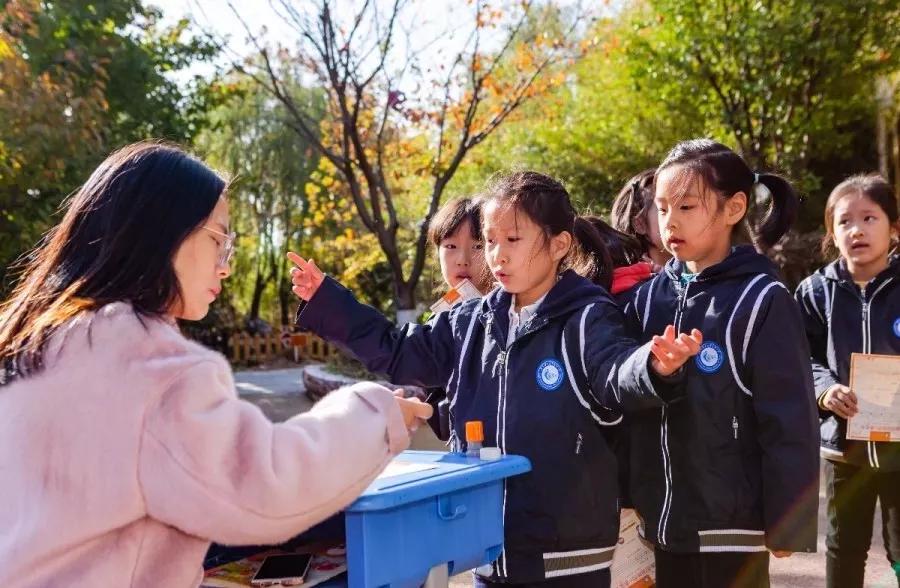 南京比较好的小学学校排名,南京名校小学最新排名