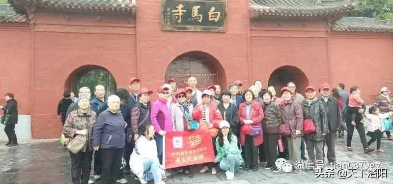 我的旅行社,厉害了我的旅游团