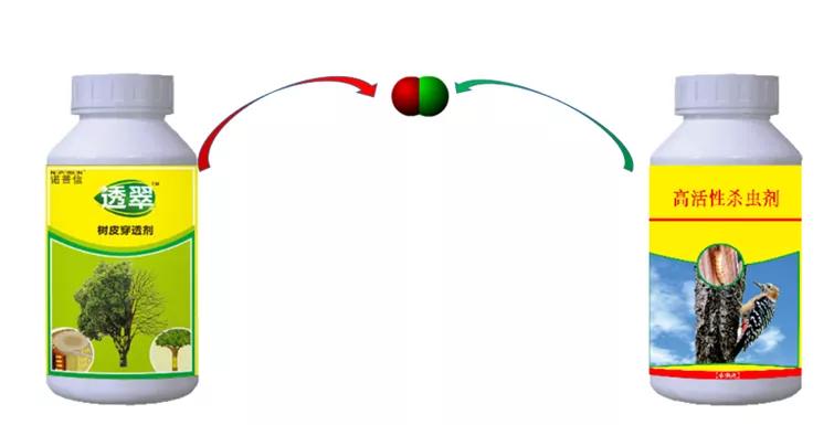 天牛基础知识,天牛简单总结