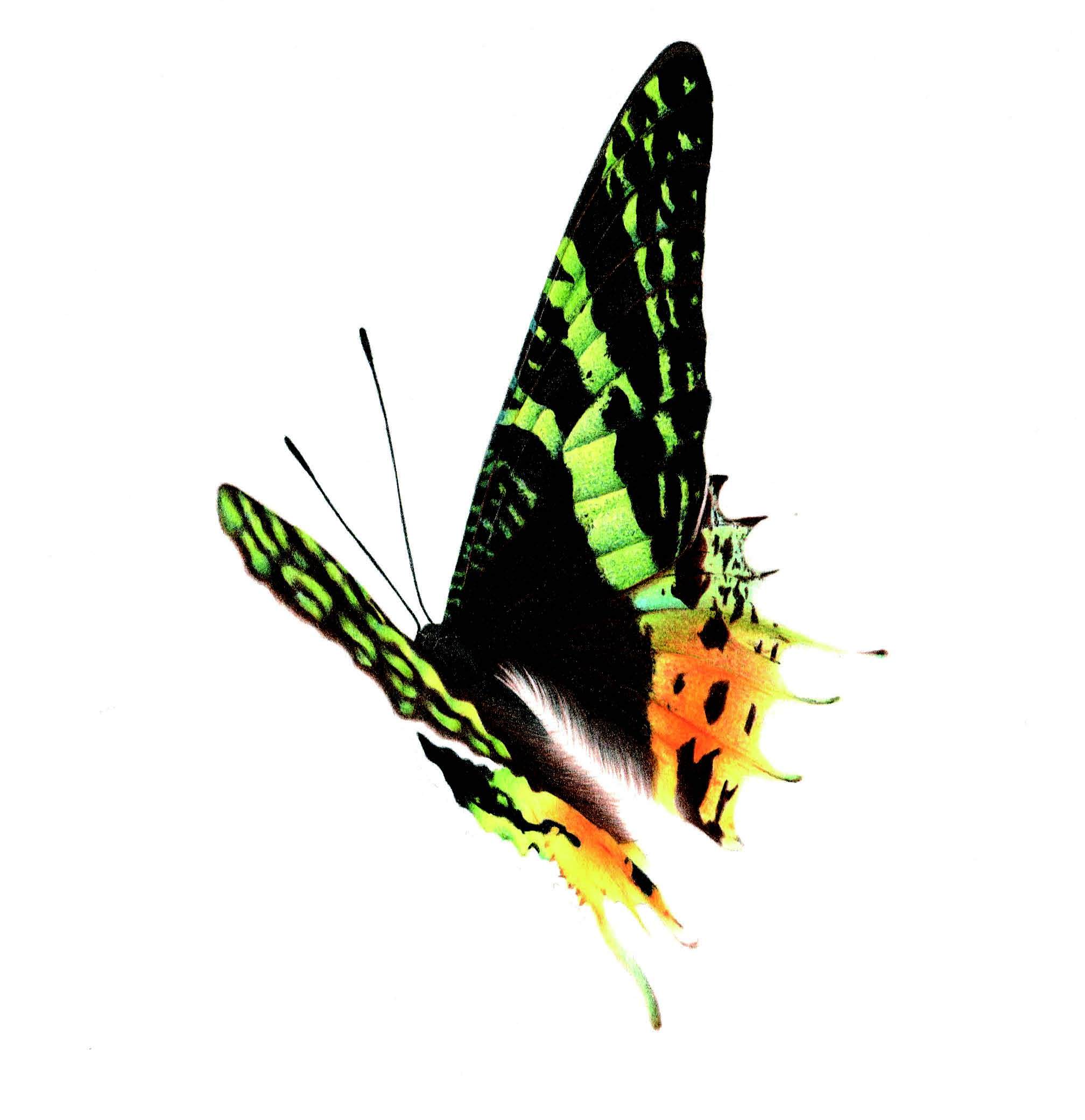 3d错觉画教程,3d错觉画作品