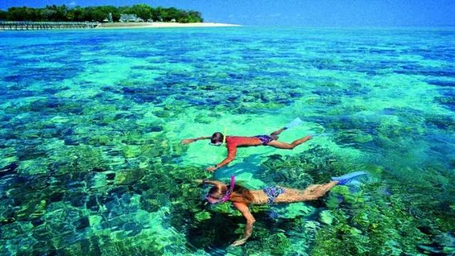 一眼钟情翡翠图片大全,一眼钟情电影