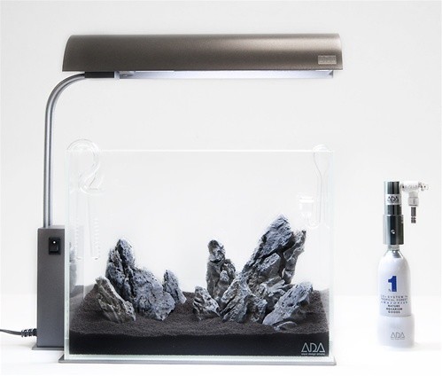 作为养鱼新手要注意什么事项,养鱼十大错误行为