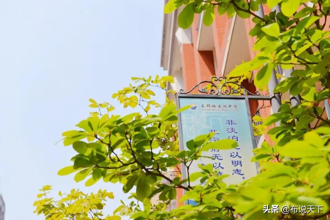 长郡梅溪湖中学和长郡中学,长郡梅溪湖中学配套入学范围