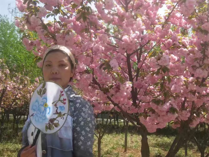 春天里的祝福短信,春天里的留言范文大全