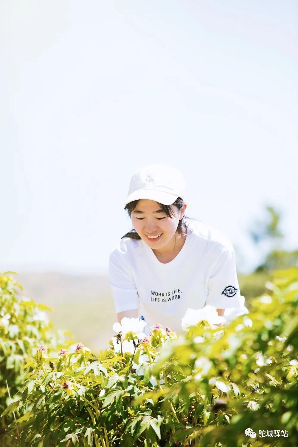 榆林牡丹园,榆林千年牡丹园