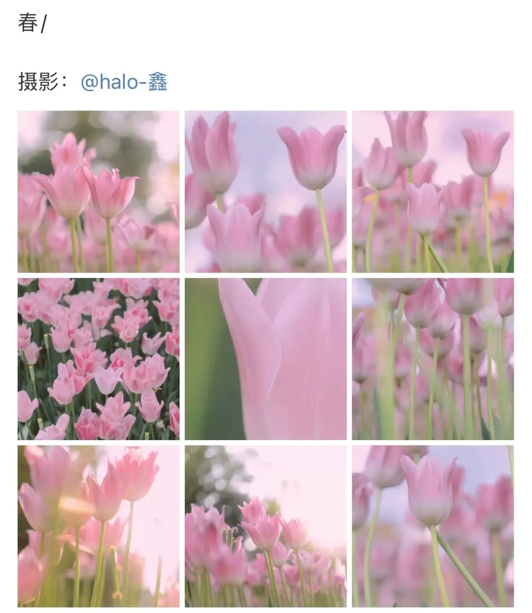 新款九宫格教程,朋友圈九宫格视频出圈教程