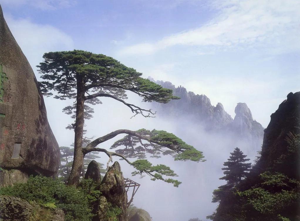 介绍黄山历史,黄山徽文化句子