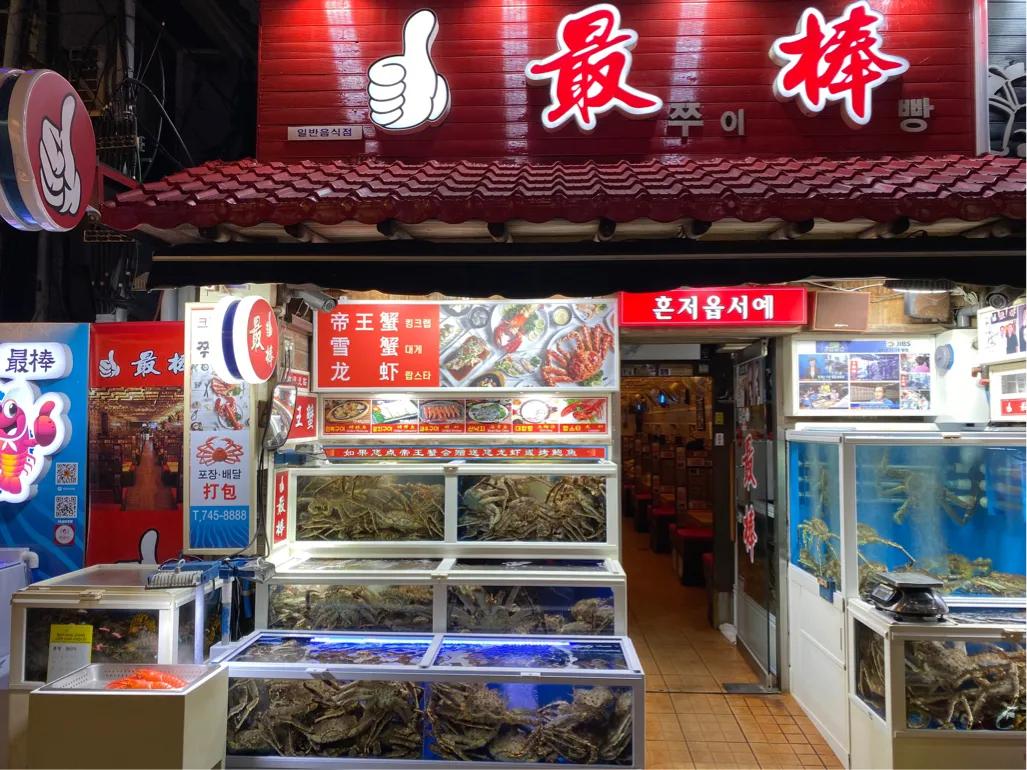 济州岛深度自由行攻略,畅游济州岛蓝牌子在哪