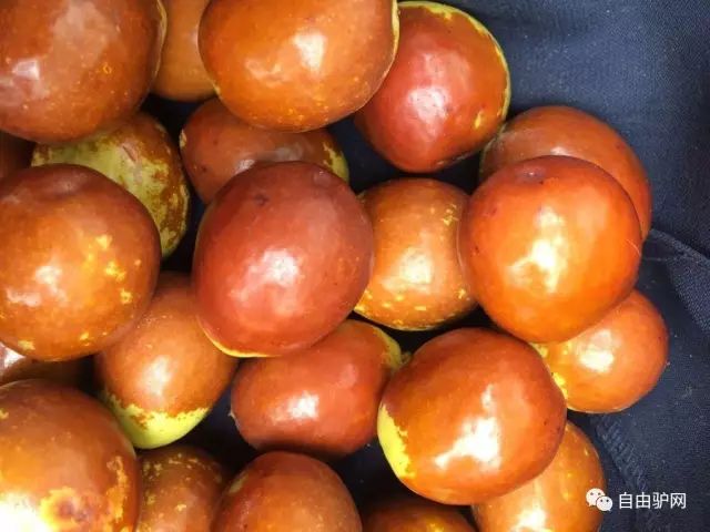 三燕古都龙城,朝阳三燕龙城遗址大规划