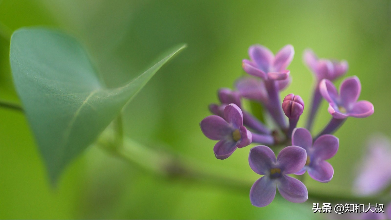 不哭不闹的女人才让人害怕,不哭不闹的女孩反而没人疼没人爱