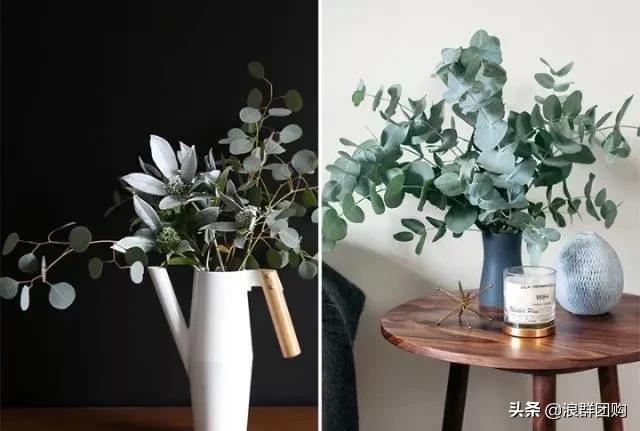 尤加利灰色好看吗,尤加利青配色图片