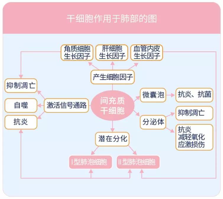 对抗病毒的十个绝招,对抗病毒正确的方式