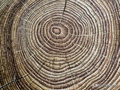 我在废都流浪之回家（二）