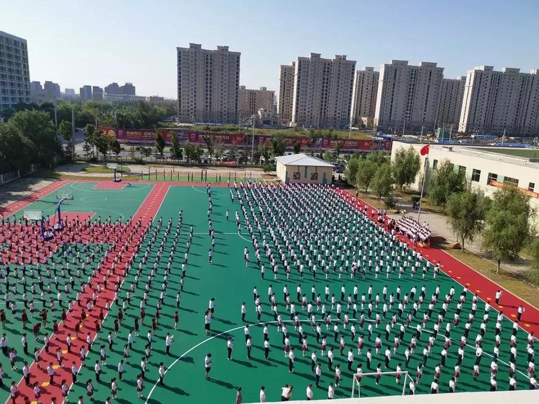 新区好学校,新区好的小学