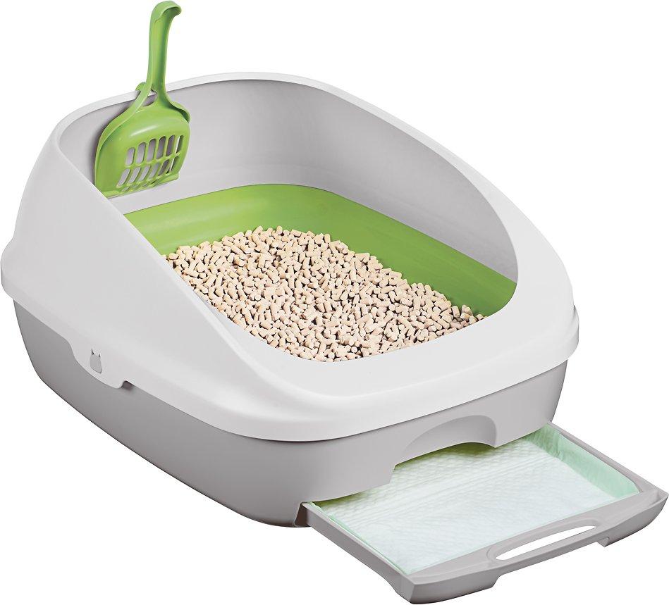 绝育猫为什么会一直往外跑,猫猫绝育会影响排泄吗