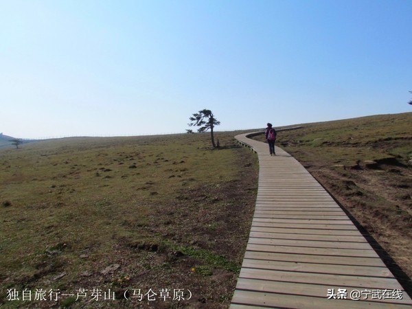 宁武芦芽山悬崖栈道,太原出发芦芽山马仑草原自驾路线