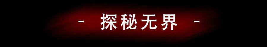 ysl限定狂欢,限时59天ysl时尚大展惊艳魔都