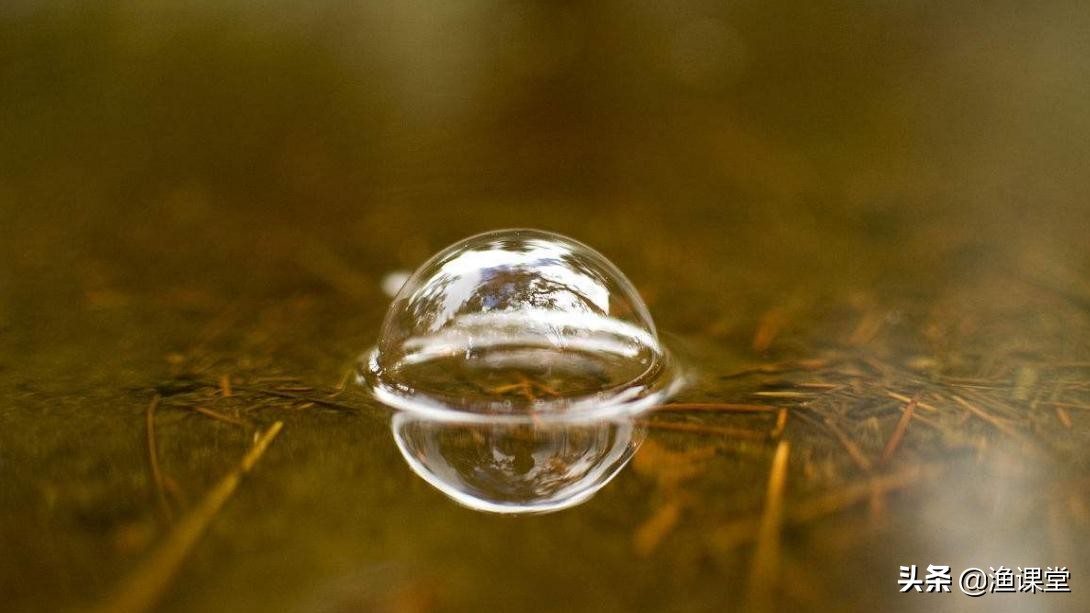 夏天钓鲫鱼，钓着钓着鱼全都上浮了咋办？2招让你找回连杆的感觉