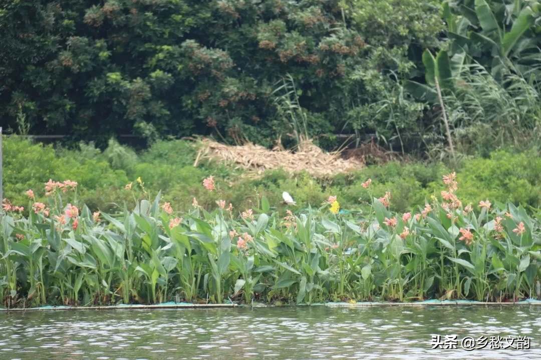 韩江榕江练江关系,韩江榕江对比