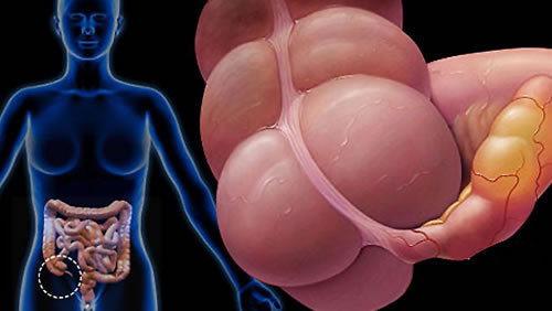 杈撳嵉绠″濞犵殑缁撳眬鏈夊摢鍑犵,姝ｅ父鍙楀瓡鍜屽澶栧瓡鍙戠敓杩囩▼瀵规瘮