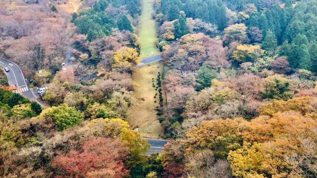 东京到镰仓和箱根攻略,东京箱根富士山镰仓