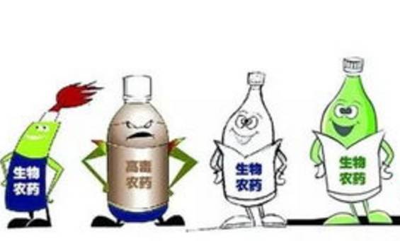 农药识别技巧口诀大全视频,农药识别口诀完整版
