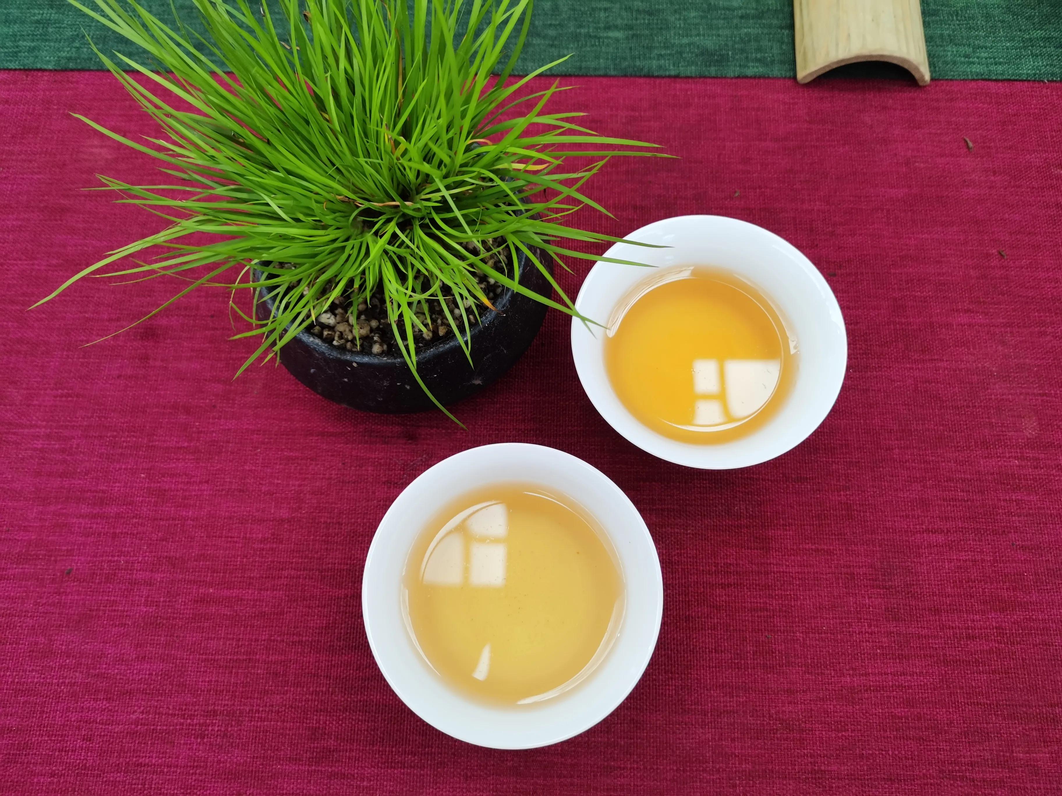 普洱陈香和糯香哪个好,普洱陈香和霉味的区别