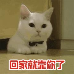 etc扣过款了但是追缴过路费,关注etc