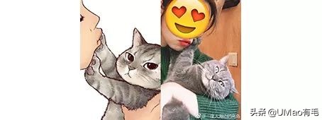 铲屎官别怕猫咪来保护你,猫咪对铲屎官的占有欲