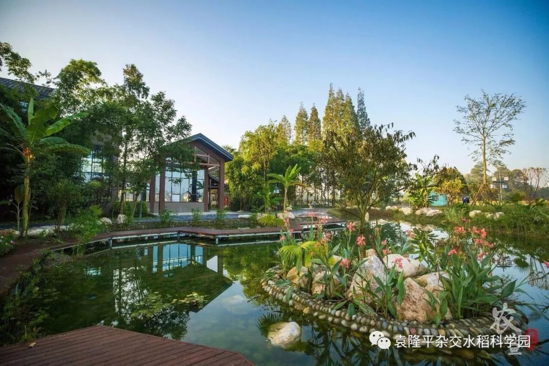 成都网红打卡地最近很火,真正的成都打卡地