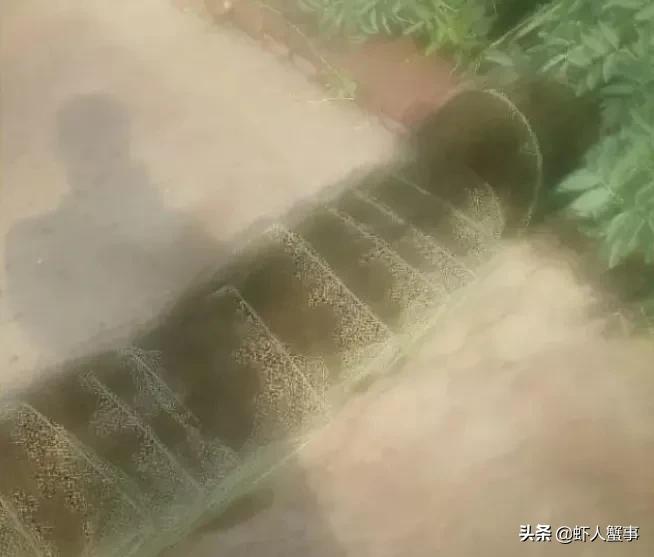 为什么地笼用完要洗和晒,地笼为什么过一会会漂浮到水面