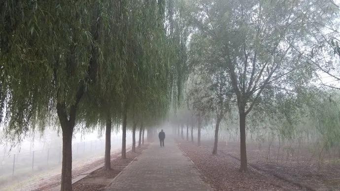 婚后日记下半集顾眠,婚姻日记26集完整版