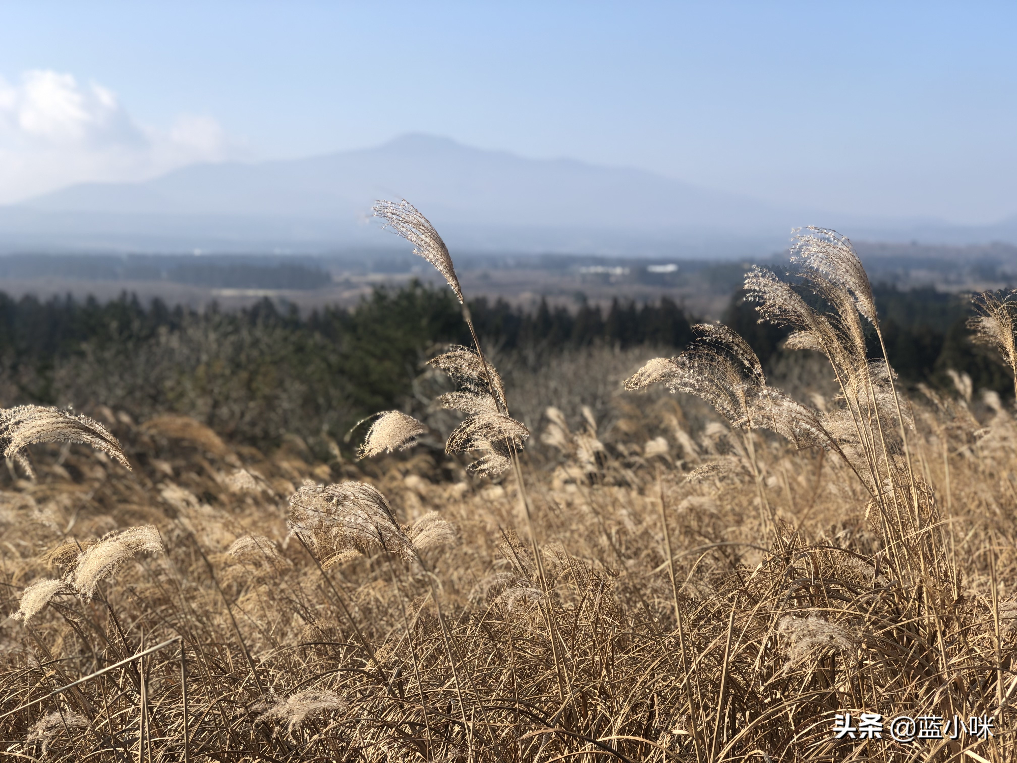 说走就走的半日游攻略,说走就走国外旅游攻略