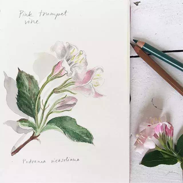 如何用手账本做一篇漂亮的手账,青春专属手帐