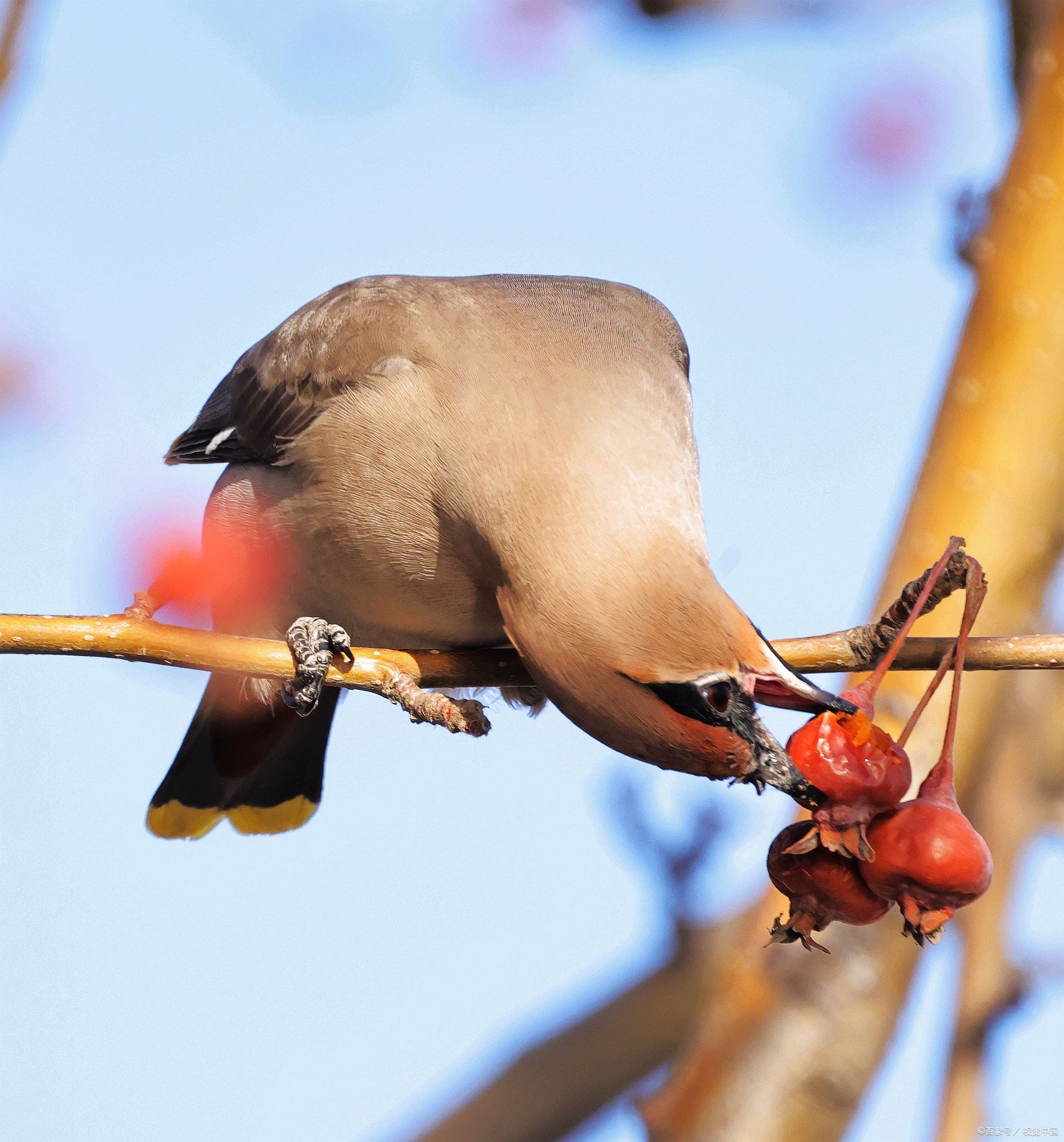 期货高手分享操作,期货高手用什么技术
