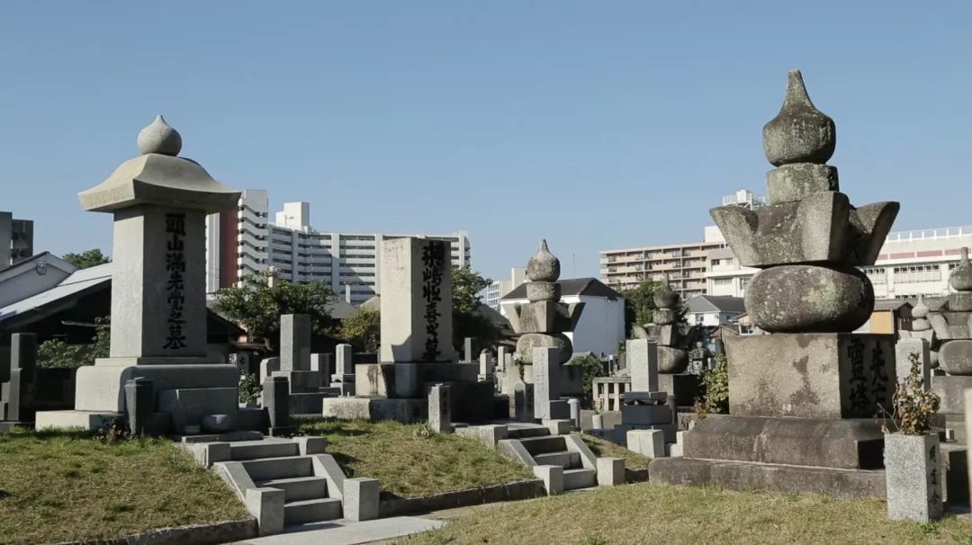 枪炮与玫瑰——明治维新以来的日军军国主义之路