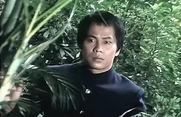 梁小龙陈真动作解析,梁小龙陈真腿功