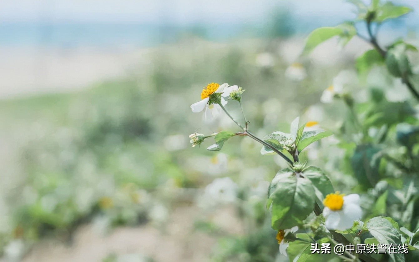 心理学情绪稳定,情绪稳定的男人的魅力