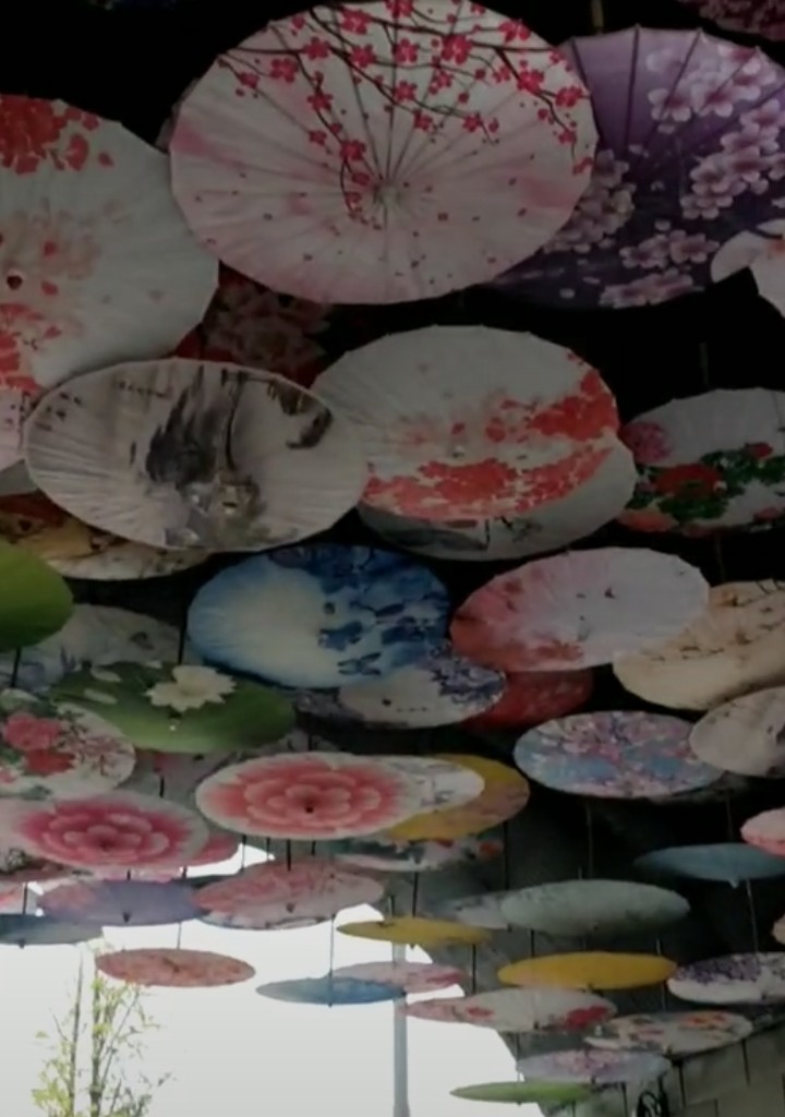 遂宁龙凤古镇详细资料,四川省遂宁市龙凤古镇景区介绍