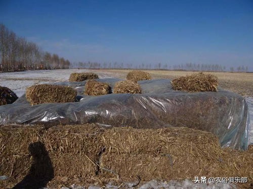 烧秸秆禁令原视频,秸秆禁烧禁抛的通告