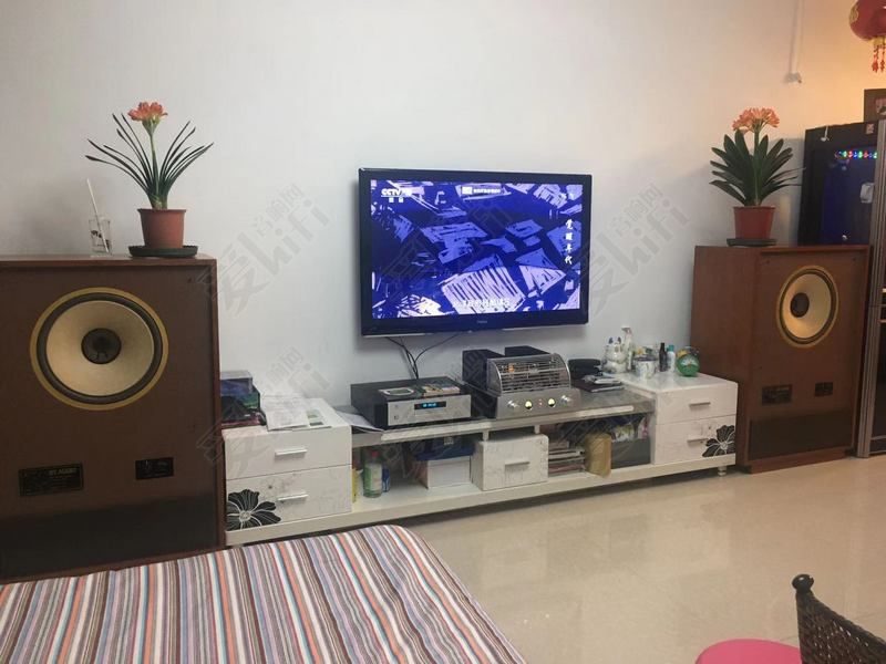 15瓦的功放能推多大的喇叭,15瓦胆机可以推多大音箱