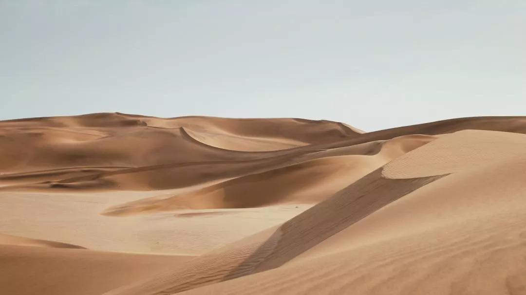 王阳明在哪里修行导引术,王阳明心学的智慧与修行