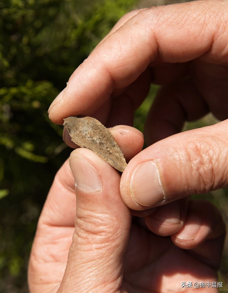 古村寻踪真实视频,古村寻踪的视频