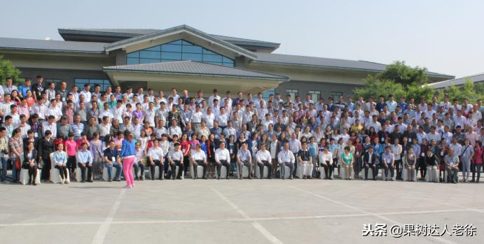 樱桃好吃树难栽下一句谚语是什么,樱桃好吃树难栽后一句是啥